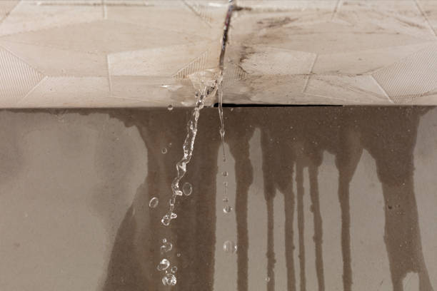 Professional Water Damage Inspection technician working in Hudson, IA